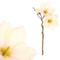 Magnolie - umělá květina, barva krémová. KT7067