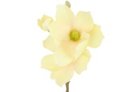 Magnolie - umělá květina, barva krémová. KT7067, sada 12 ks