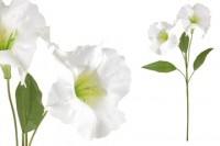 Durman, barva bílá. Květina umělá. KU4221-WH