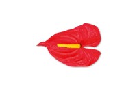 Anturie, barva červená, Květina umělá vazbová. Cena za balení 12 kusů KUM3310-RED