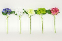 Hortenzie, mix barev bílá, krémová, zelená,růžová, modrá. Květina umělá. NL0056