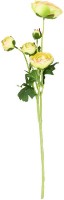 Ranunkulus 5 hlav, barva zelená. Květina umělá. SF1191, sada 6 ks