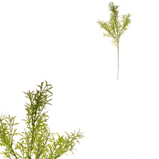 Asparagus - umělá větvička, barva zelená. SG6034, sada 12 ks