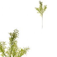 Asparagus - umělá větvička, barva zelená. SG6034, sada 12 ks