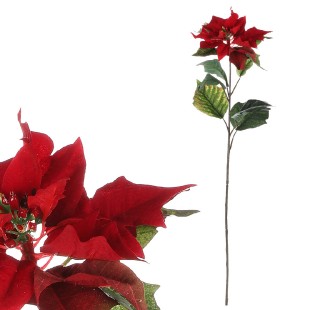 Vánoční růže, poinsécie , barva  červená UKK-044