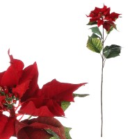 Vánoční růže, poinsécie , barva  červená UKK-044