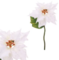 Vánoční růže, poinsécie , barva  bílá UKK-045