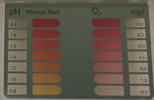 Tester na bezchlorovou chemii (O2)