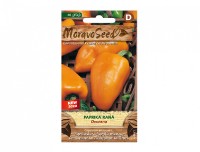 Paprika zeleninová raná oranžová DVORANA 64461