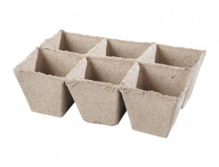 Květník rašelinový bez EANu 8x8cm 6ks